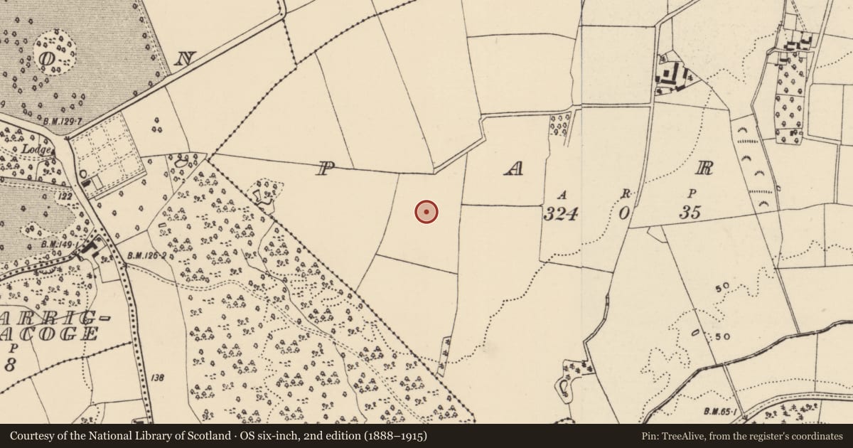 Ordnance Survey six-inch map, 2nd edition (1888–1915) covering the location of Ringfort - rath, Park, County Wexford, with a pin at the register's coordinates