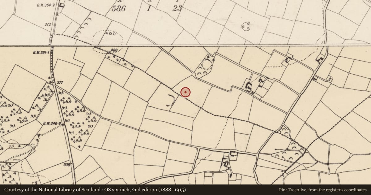 Ordnance Survey six-inch map, 2nd edition (1888–1915) covering the location of Ringfort - rath, Knockmore, County Wexford, with a pin at the register's coordinates
