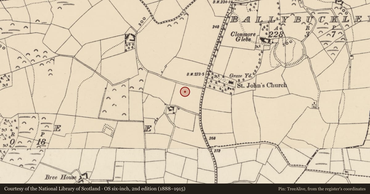 Ordnance Survey six-inch map, 2nd edition (1888–1915) covering the location of Enclosure, Bree, County Wexford, with a pin at the register's coordinates