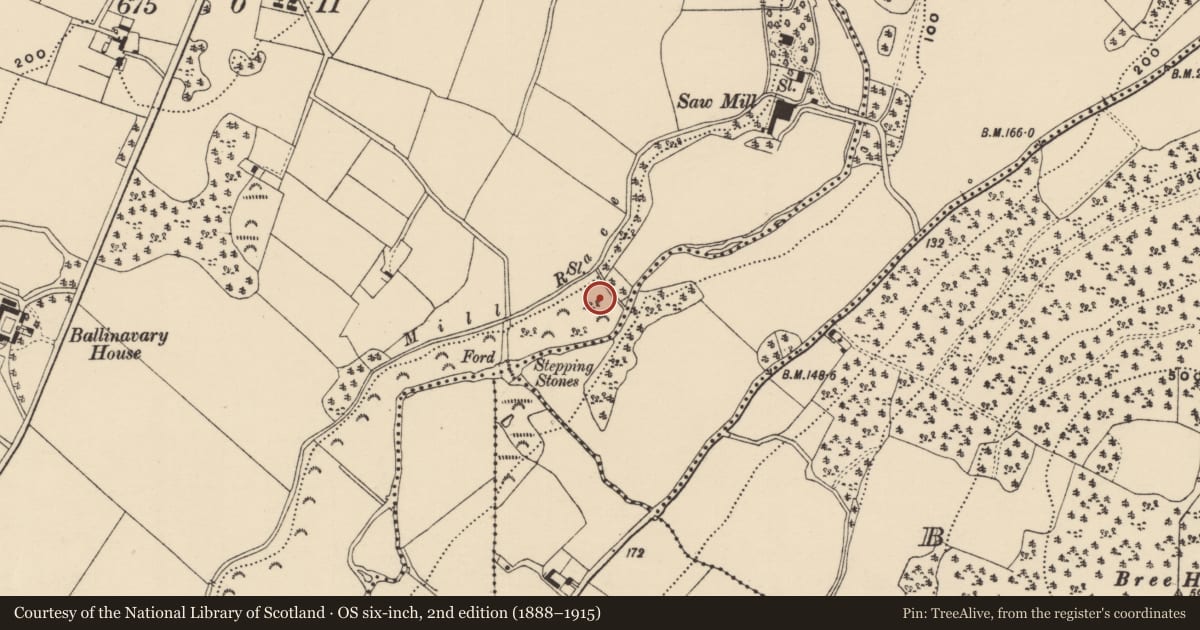 Ordnance Survey six-inch map, 2nd edition (1888–1915) covering the location of Mass-rock, Ballinavary, County Wexford, with a pin at the register's coordinates