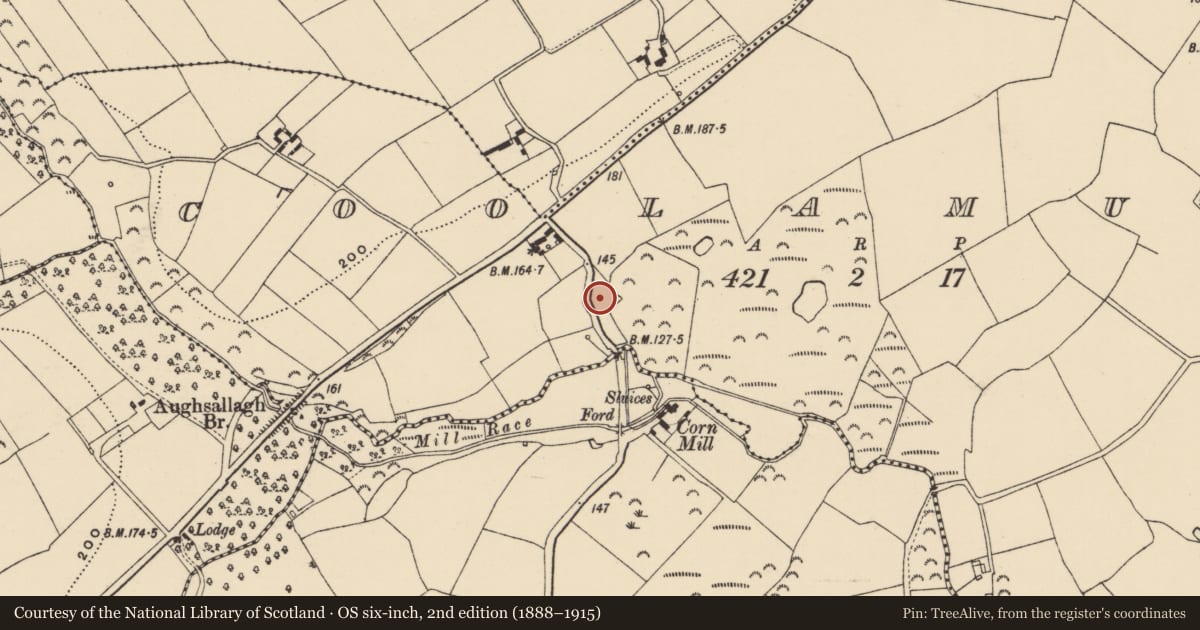 Ordnance Survey six-inch map, 2nd edition (1888–1915) covering the location of Moated site, Coolamurry, County Wexford, with a pin at the register's coordinates