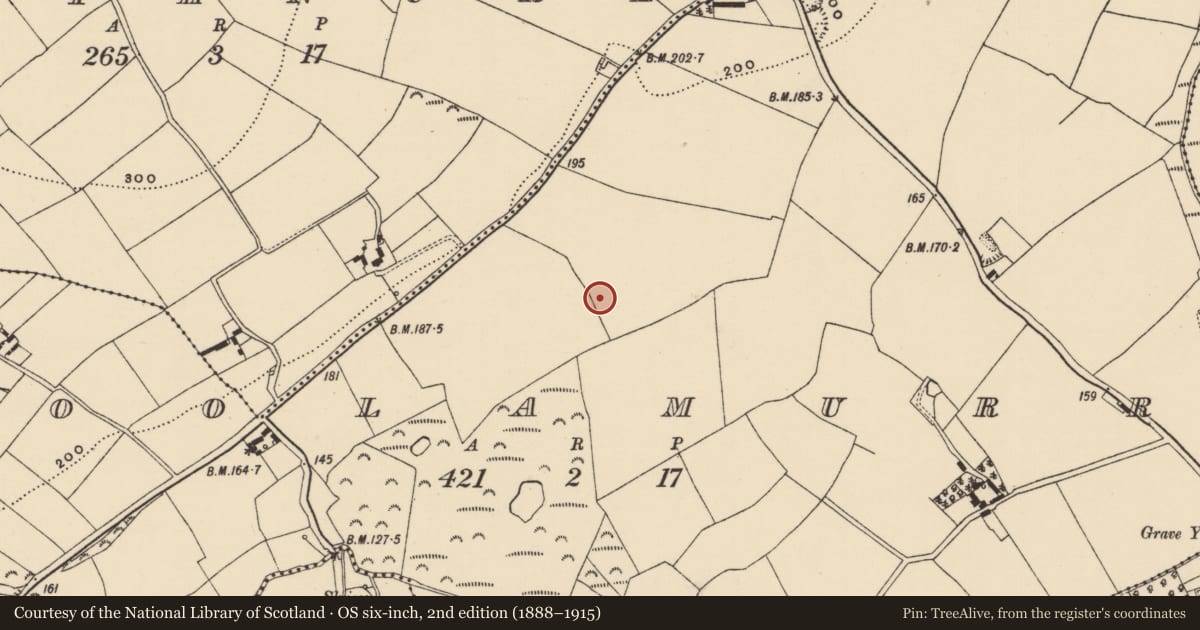 Ordnance Survey six-inch map, 2nd edition (1888–1915) covering the location of Fulacht fia, Coolamurry, County Wexford, with a pin at the register's coordinates
