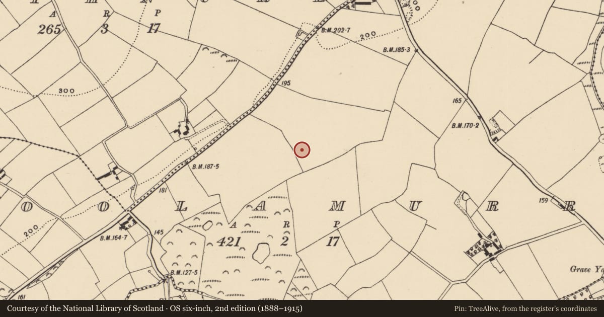 Ordnance Survey six-inch map, 2nd edition (1888–1915) covering the location of Kiln, Coolamurry, County Wexford, with a pin at the register's coordinates