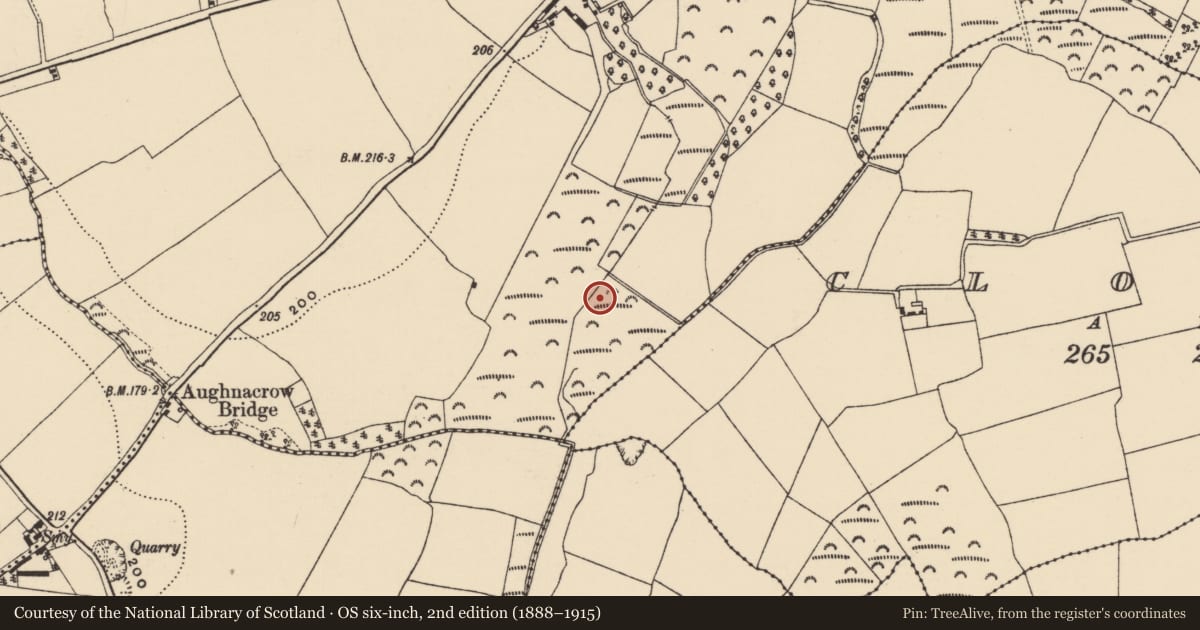 Ordnance Survey six-inch map, 2nd edition (1888–1915) covering the location of Water mill - horizontal-wheeled, Templescoby, County Wexford, with a pin at the register's coordinates