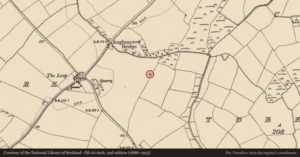Ordnance Survey six-inch map, 2nd edition (1888–1915) covering the location of Metalworking site, Coolamurry, County Wexford, with a pin at the register's coordinates