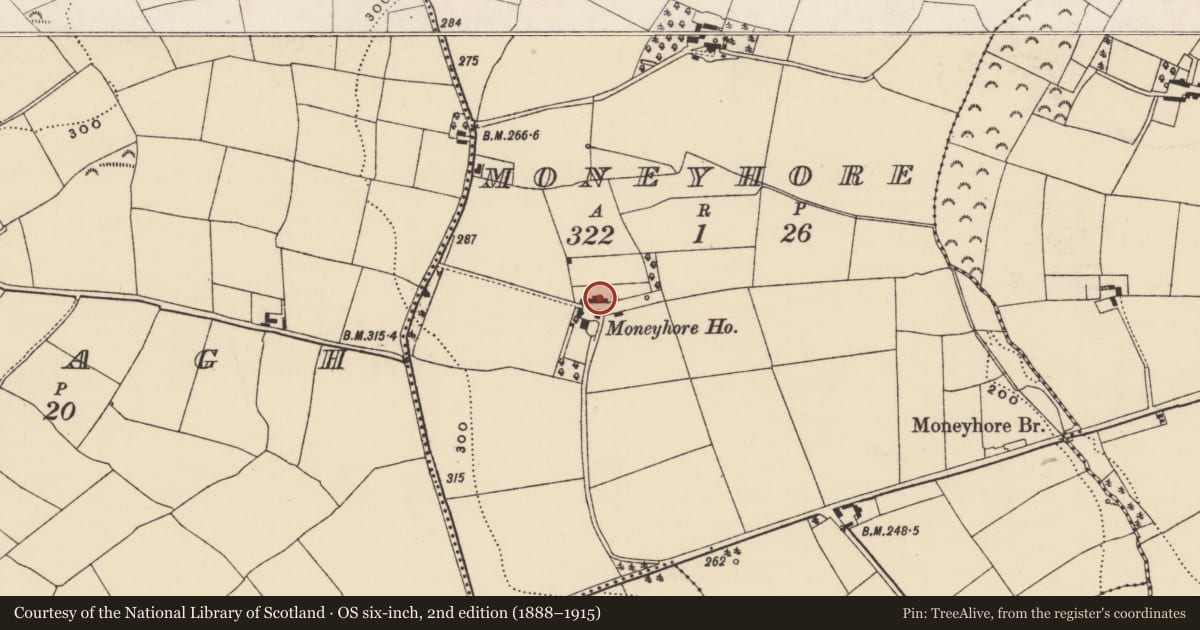 Ordnance Survey six-inch map, 2nd edition (1888–1915) covering the location of Cross - Churchyard cross (present location), Moneyhore, County Wexford, with a pin at the register's coordinates