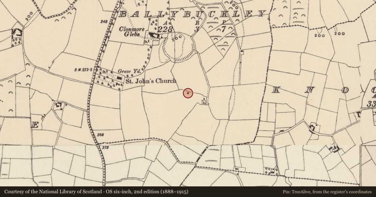 Ordnance Survey six-inch map, 2nd edition (1888–1915) covering the location of Excavation - miscellaneous, Ballybuckley, County Wexford, with a pin at the register's coordinates