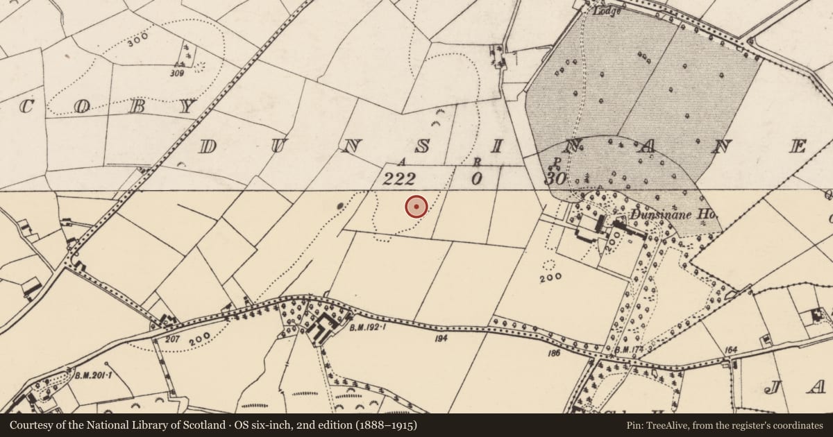 Ordnance Survey six-inch map, 2nd edition (1888–1915) covering the location of Hut site, Dunsinane, County Wexford, with a pin at the register's coordinates