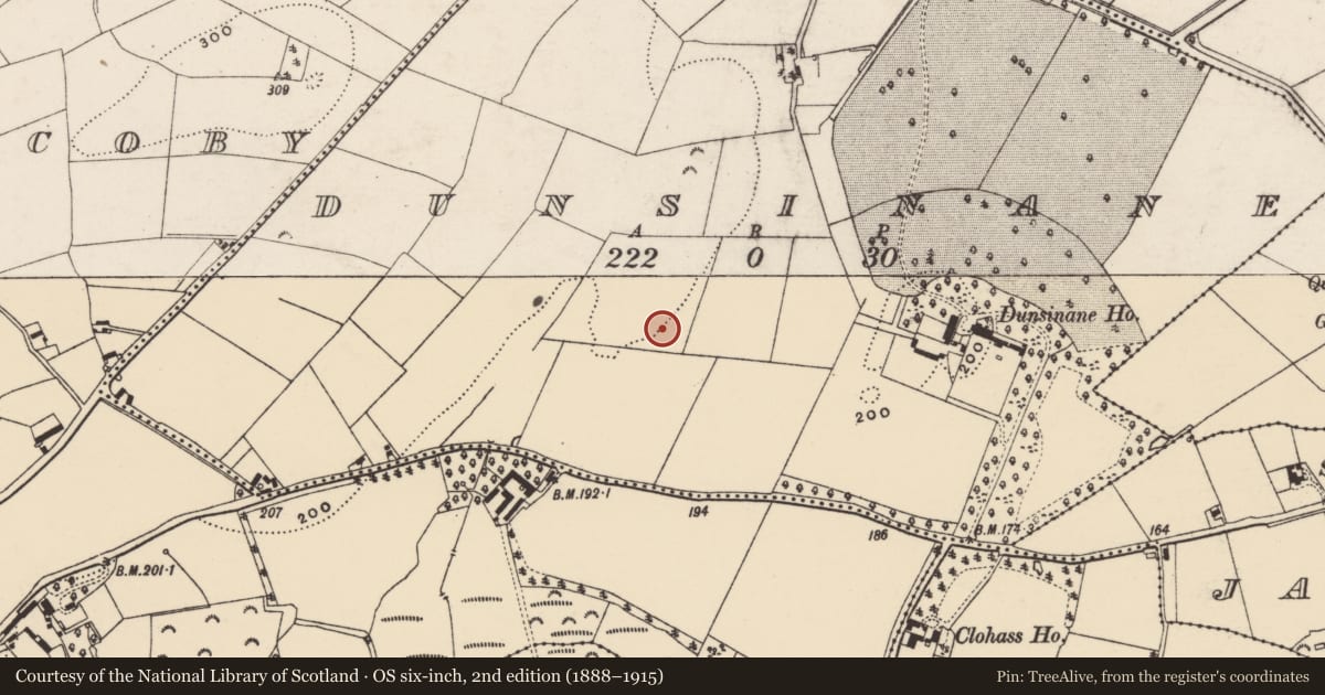 Ordnance Survey six-inch map, 2nd edition (1888–1915) covering the location of Hut site, Dunsinane, County Wexford, with a pin at the register's coordinates