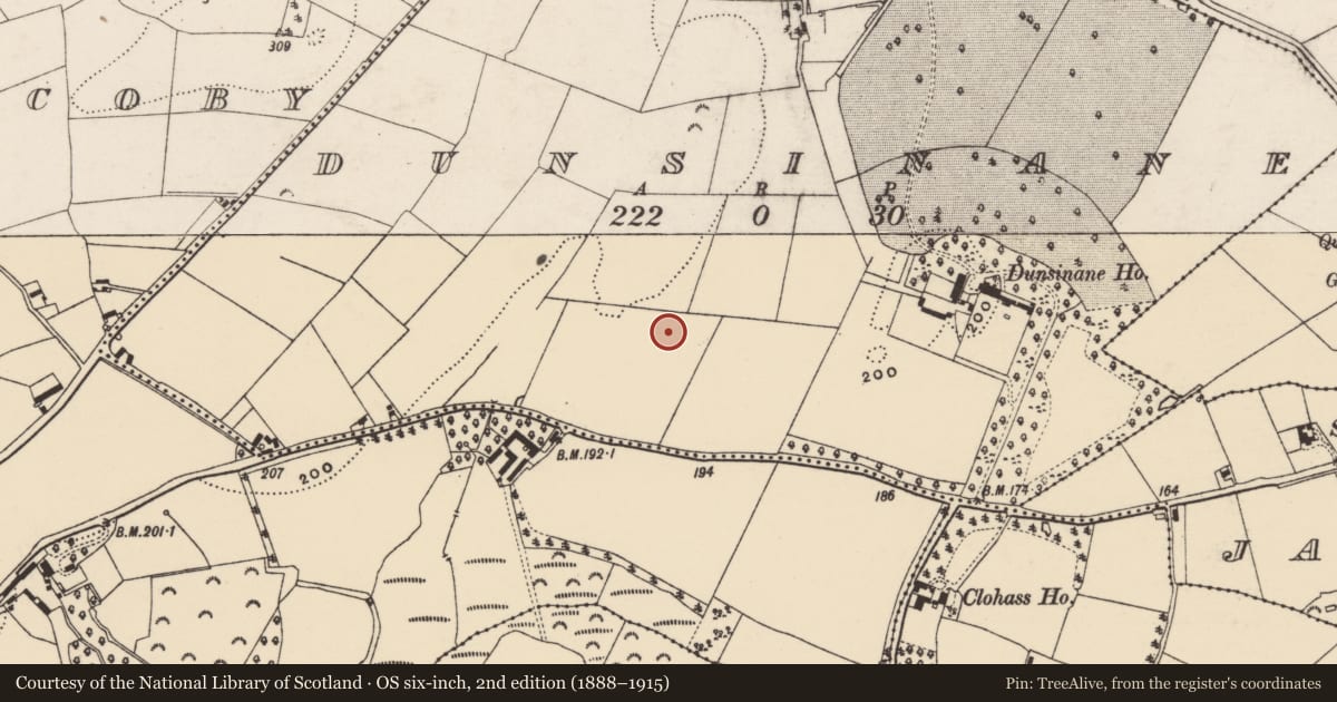 Ordnance Survey six-inch map, 2nd edition (1888–1915) covering the location of Excavation - miscellaneous, Dunsinane, County Wexford, with a pin at the register's coordinates
