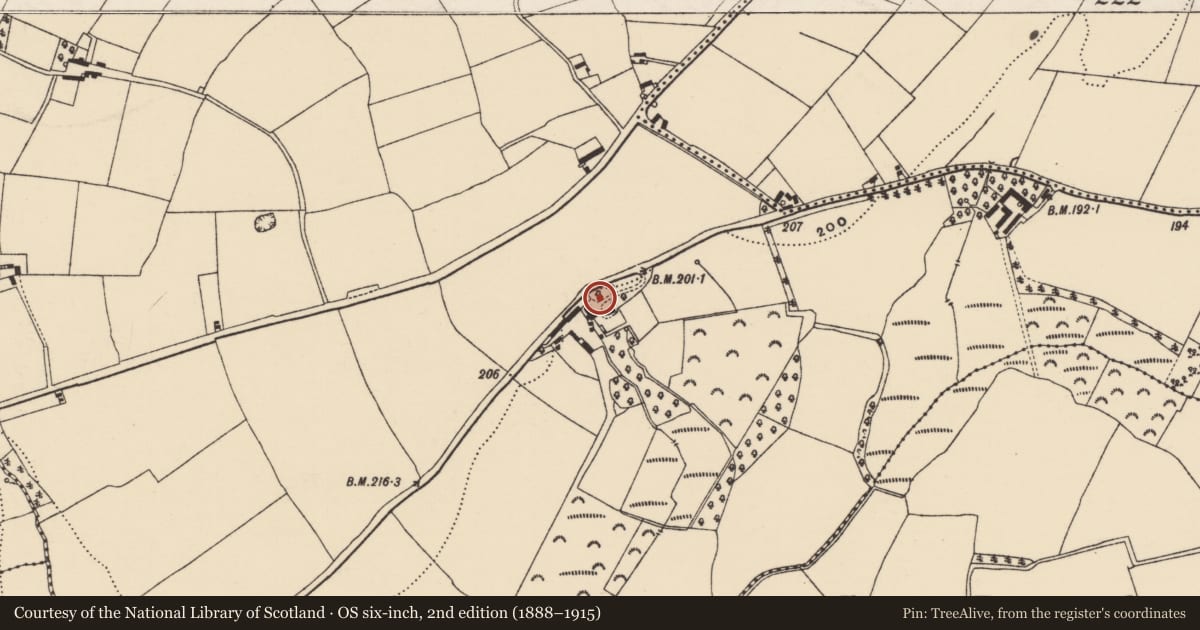 Ordnance Survey six-inch map, 2nd edition (1888–1915) covering the location of Ecclesiastical enclosure, Templescoby, County Wexford, with a pin at the register's coordinates