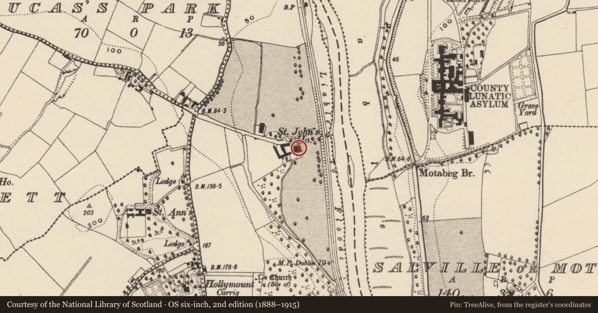 Ordnance Survey six-inch map, 2nd edition (1888–1915) covering the location of Religious house - Augustinian canons, St. John'S, County Wexford, with a pin at the register's coordinates