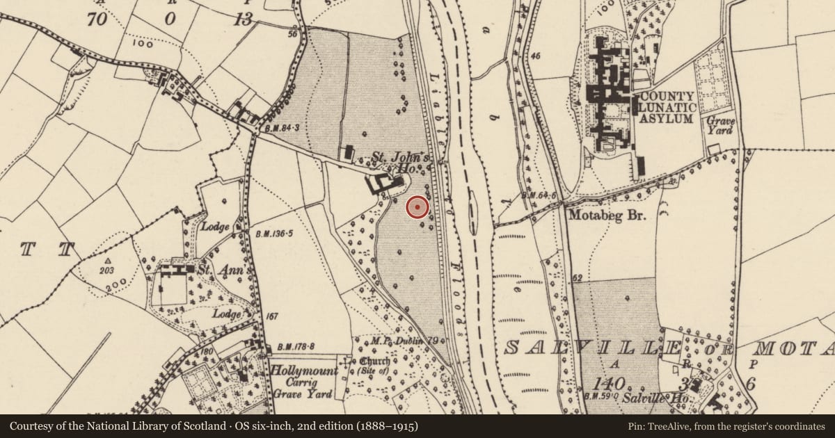 Ordnance Survey six-inch map, 2nd edition (1888–1915) covering the location of Designed landscape - formal garden, St. John'S, County Wexford, with a pin at the register's coordinates