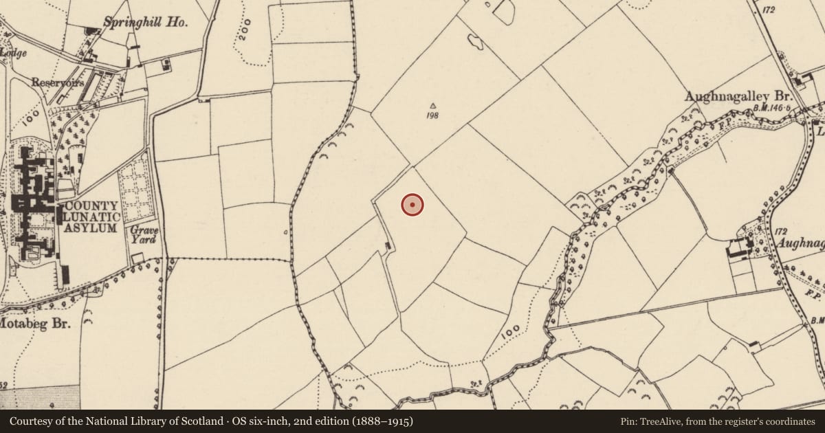 Ordnance Survey six-inch map, 2nd edition (1888–1915) covering the location of Ringfort - unclassified, Drumgold, County Wexford, with a pin at the register's coordinates