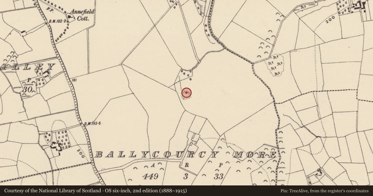 Ordnance Survey six-inch map, 2nd edition (1888–1915) covering the location of Moated site, Ballycourcy More, County Wexford, with a pin at the register's coordinates