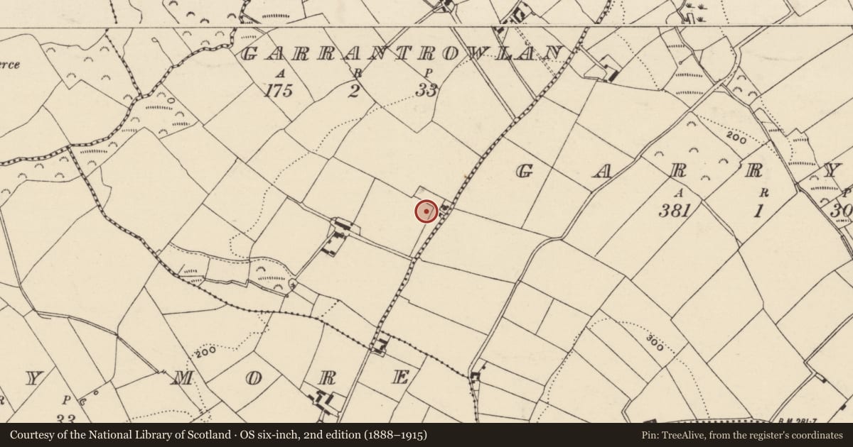 Ordnance Survey six-inch map, 2nd edition (1888–1915) covering the location of Moated site, Garrantrowlan, County Wexford, with a pin at the register's coordinates
