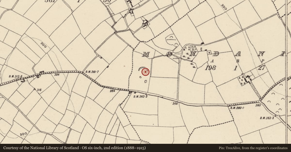 Ordnance Survey six-inch map, 2nd edition (1888–1915) covering the location of Enclosure, Mondaniel, County Wexford, with a pin at the register's coordinates
