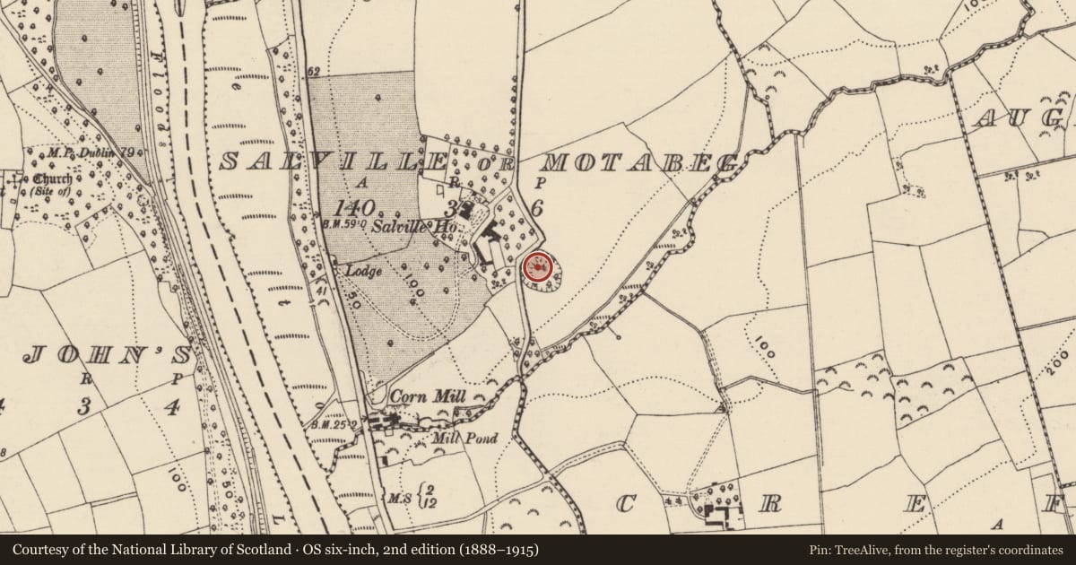 Ordnance Survey six-inch map, 2nd edition (1888–1915) covering the location of Castle - motte, Salville Or Motabeg, County Wexford, with a pin at the register's coordinates