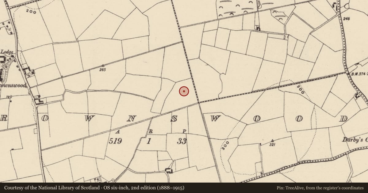 Ordnance Survey six-inch map, 2nd edition (1888–1915) covering the location of Ringfort - rath, Brownswood, County Wexford, with a pin at the register's coordinates