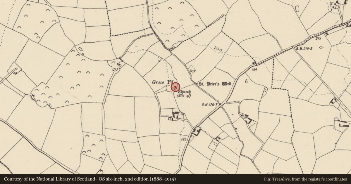 Ordnance Survey six-inch map, 2nd edition (1888–1915) covering the location of Church, Ballynastraw, County Wexford, with a pin at the register's coordinates