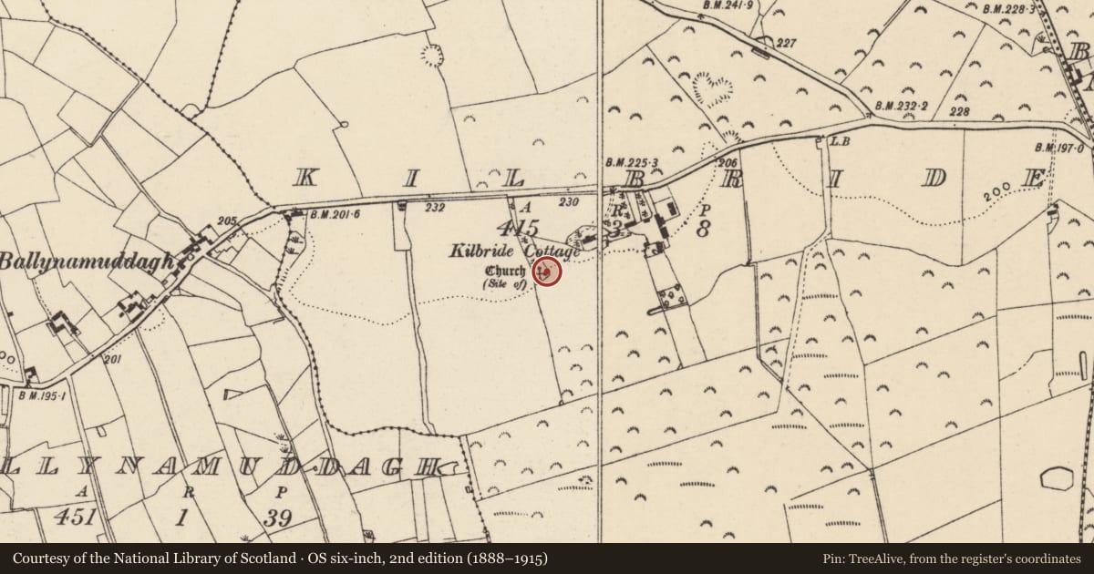 Ordnance Survey six-inch map, 2nd edition (1888–1915) covering the location of Graveyard, Kilbride, County Wexford, with a pin at the register's coordinates