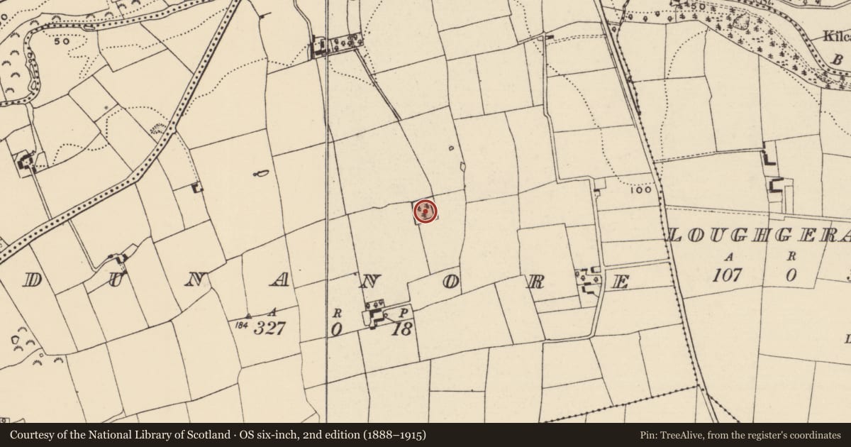Ordnance Survey six-inch map, 2nd edition (1888–1915) covering the location of Moated site, Dunanore, County Wexford, with a pin at the register's coordinates
