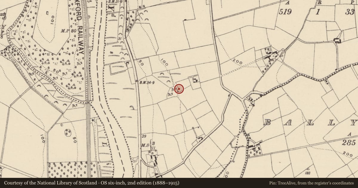 Ordnance Survey six-inch map, 2nd edition (1888–1915) covering the location of Fulacht fia, Brownswood, County Wexford, with a pin at the register's coordinates