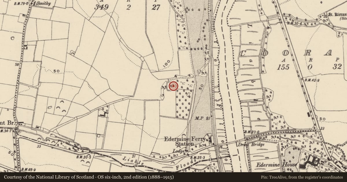 Ordnance Survey six-inch map, 2nd edition (1888–1915) covering the location of Moated site, Borrmount, County Wexford, with a pin at the register's coordinates