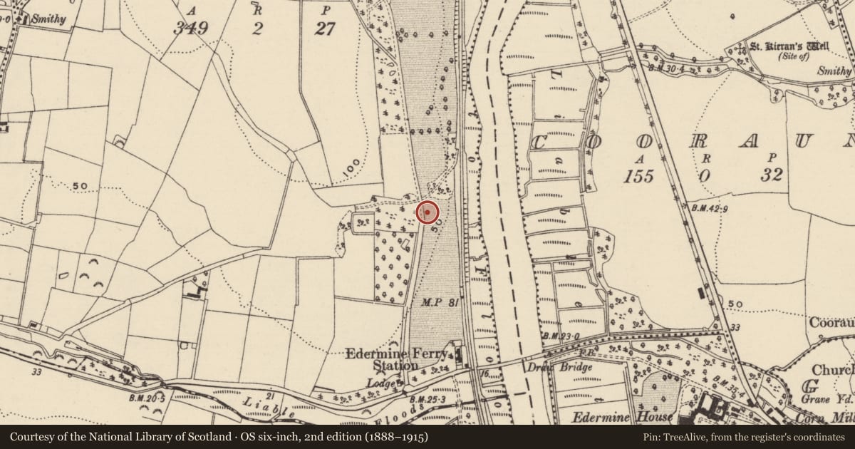 Ordnance Survey six-inch map, 2nd edition (1888–1915) covering the location of House - 17th century, Borrmount, County Wexford, with a pin at the register's coordinates