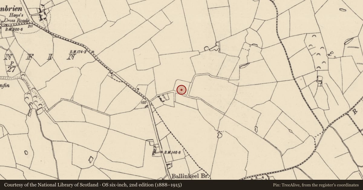 Ordnance Survey six-inch map, 2nd edition (1888–1915) covering the location of Enclosure, Ballynastraw, County Wexford, with a pin at the register's coordinates
