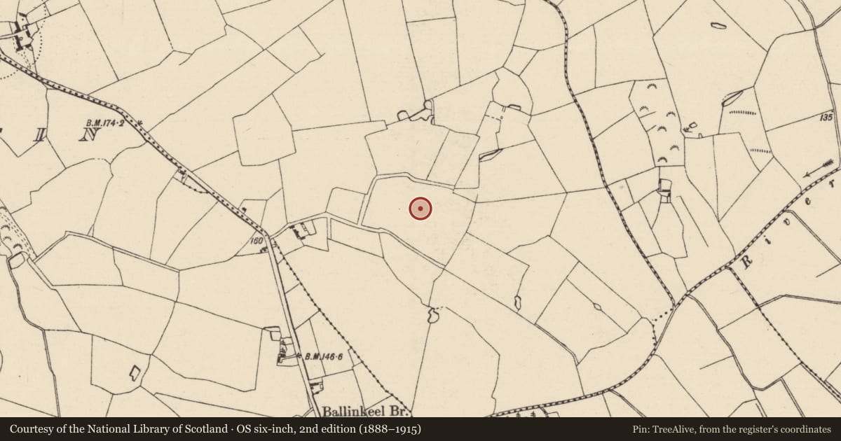 Ordnance Survey six-inch map, 2nd edition (1888–1915) covering the location of Enclosure, Ballynastraw, County Wexford, with a pin at the register's coordinates