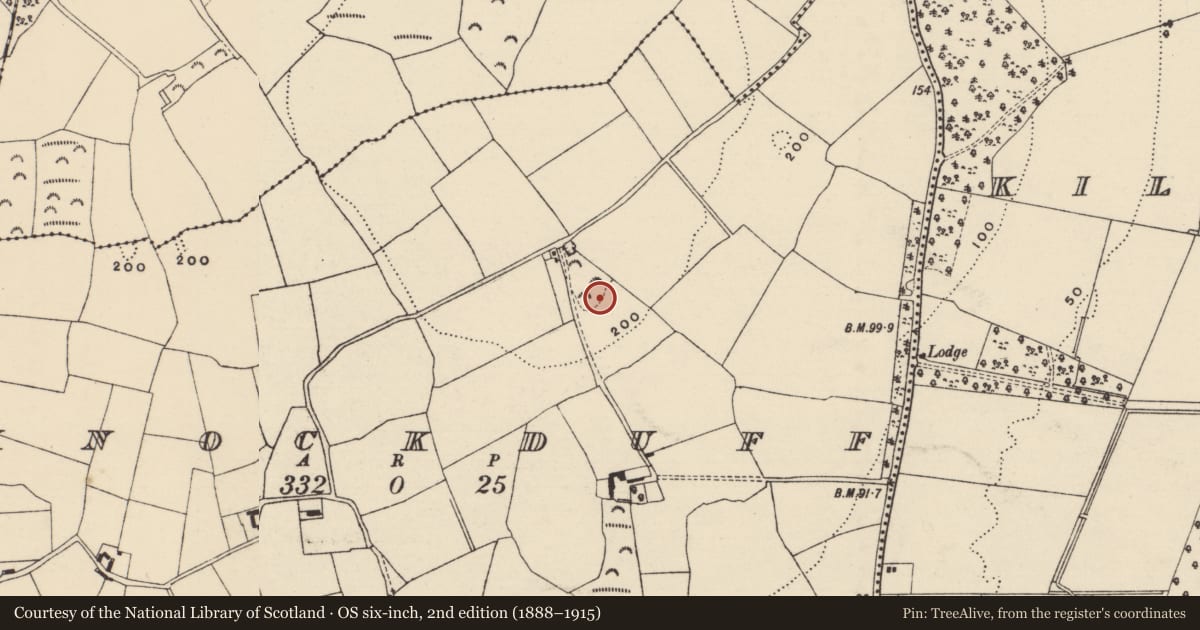 Ordnance Survey six-inch map, 2nd edition (1888–1915) covering the location of Ringfort - rath, Knockduff, County Wexford, with a pin at the register's coordinates