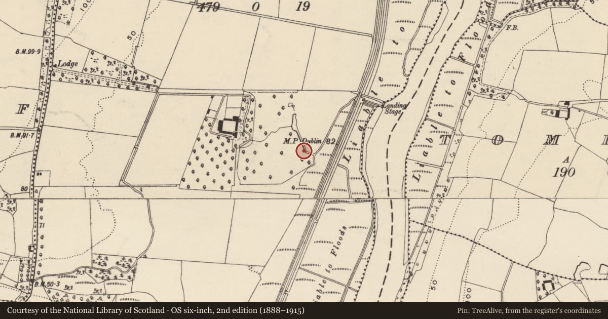 Ordnance Survey six-inch map, 2nd edition (1888–1915) covering the location of Moated site, Kilgibbon, County Wexford, with a pin at the register's coordinates