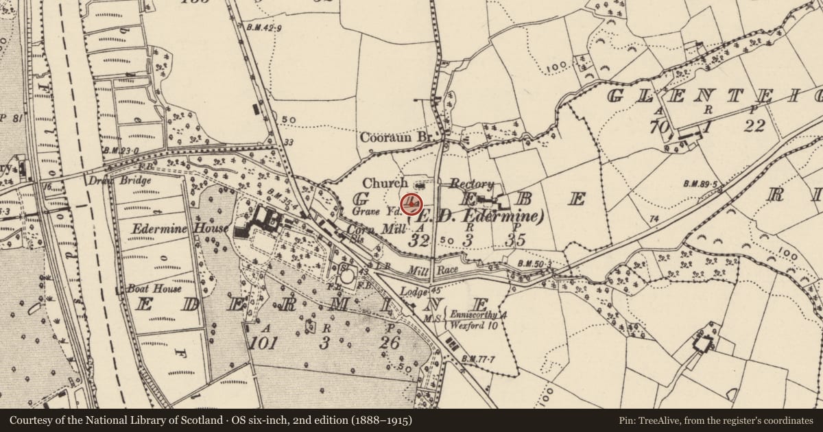 Ordnance Survey six-inch map, 2nd edition (1888–1915) covering the location of Standing stone, Glebe, County Wexford, with a pin at the register's coordinates