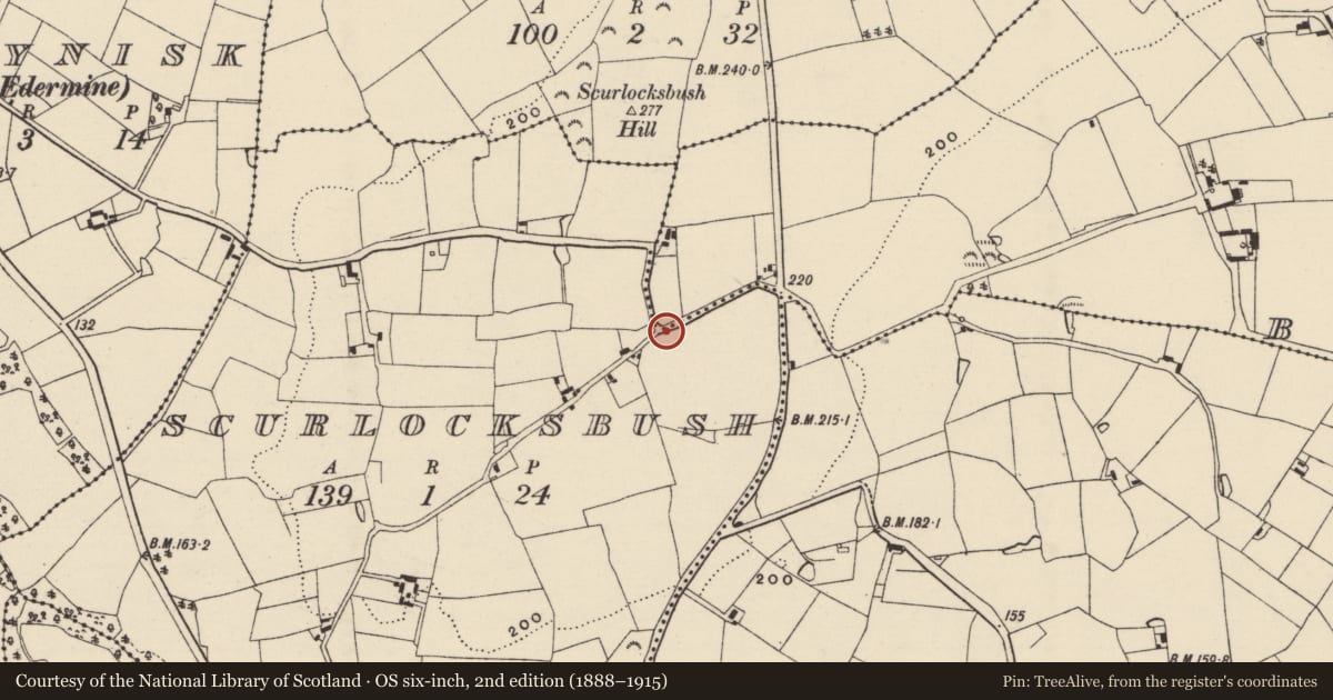 Ordnance Survey six-inch map, 2nd edition (1888–1915) covering the location of Bullaun stone, Scurlocksbush, County Wexford, with a pin at the register's coordinates