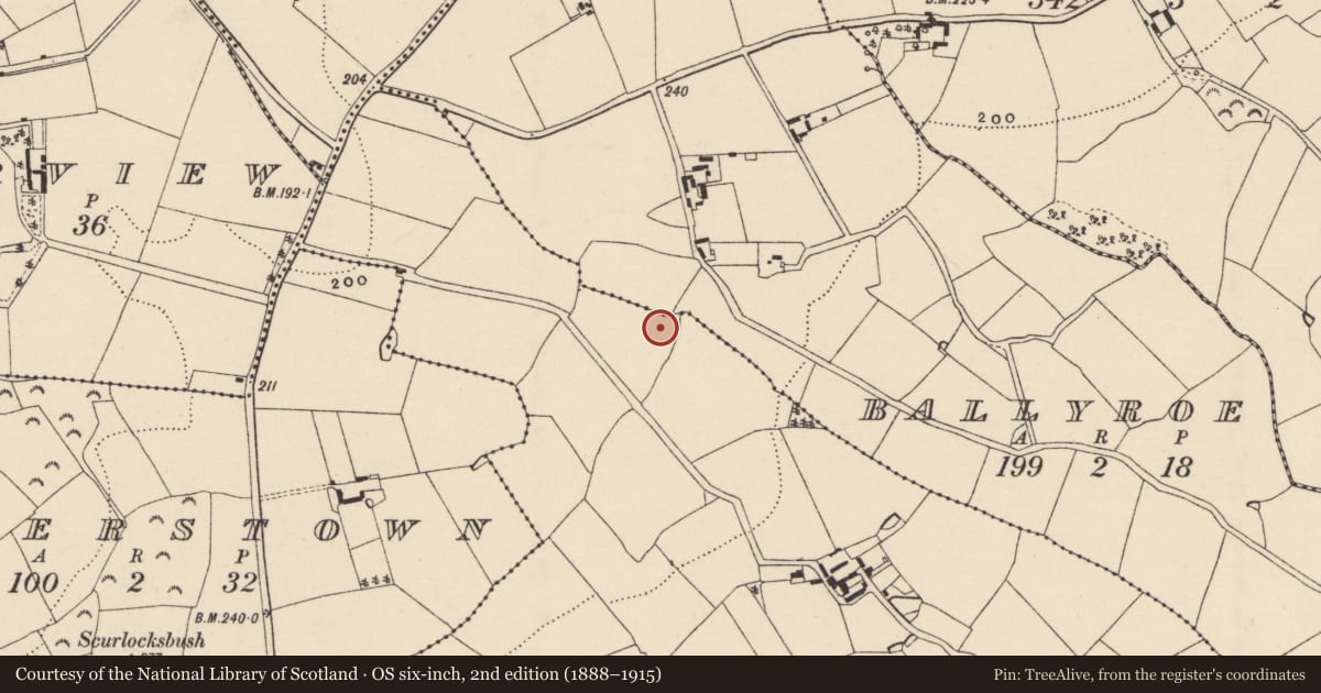 Ordnance Survey six-inch map, 2nd edition (1888–1915) covering the location of Moated site, Ballyvake, County Wexford, with a pin at the register's coordinates