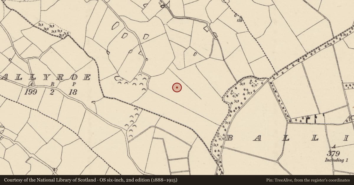 Ordnance Survey six-inch map, 2nd edition (1888–1915) covering the location of Enclosure, Ballyrannel, County Wexford, with a pin at the register's coordinates