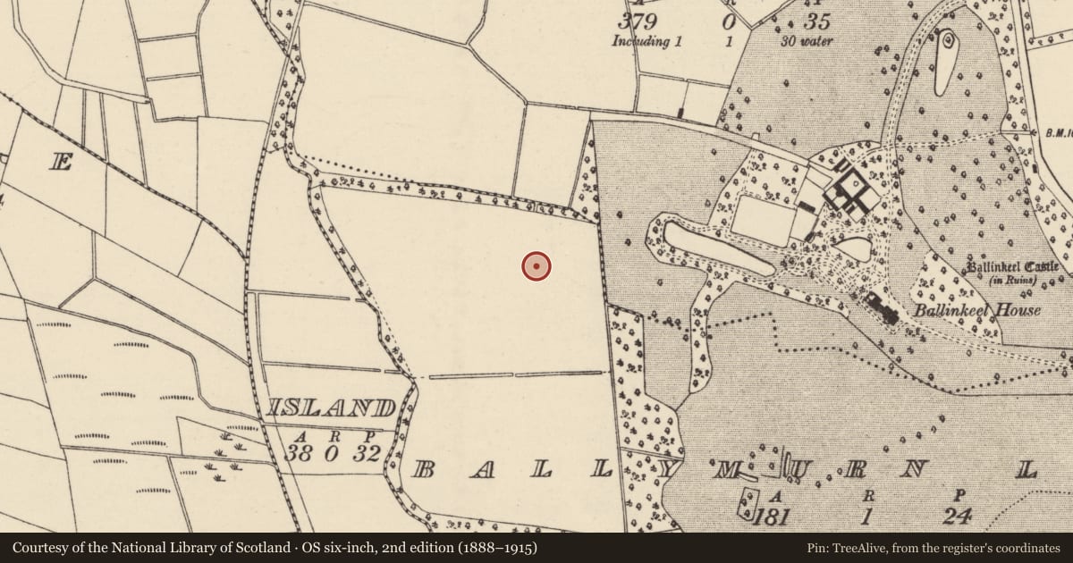 Ordnance Survey six-inch map, 2nd edition (1888–1915) covering the location of Enclosure, Ballymurn Lower, County Wexford, with a pin at the register's coordinates