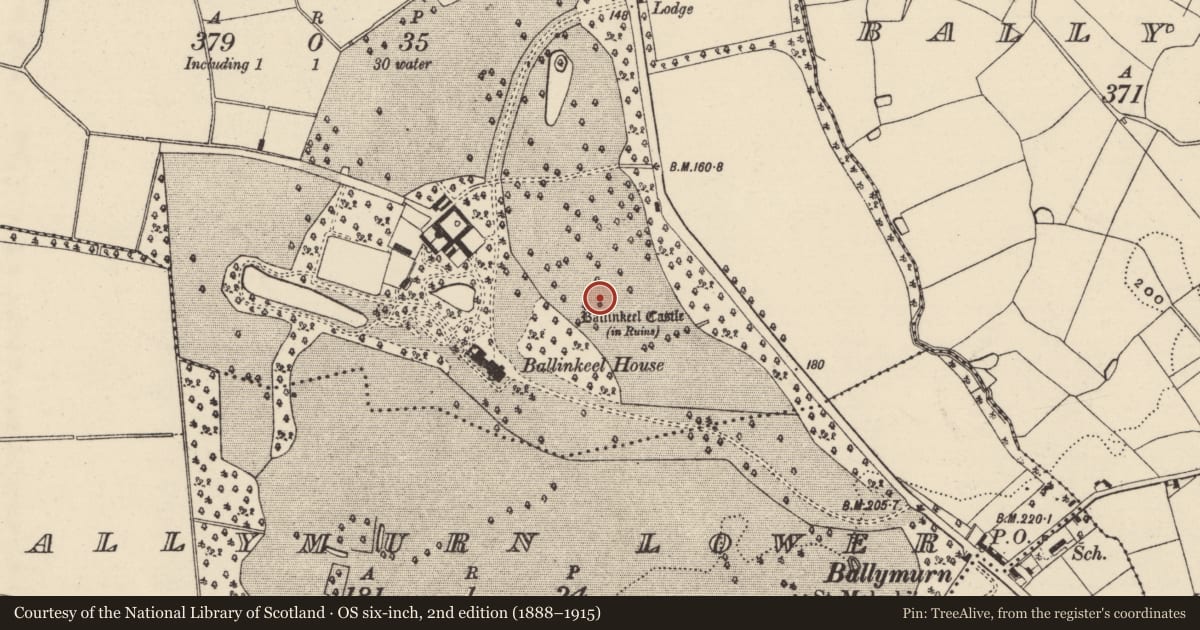Ordnance Survey six-inch map, 2nd edition (1888–1915) covering the location of Castle - unclassified, Ballinkeel, County Wexford, with a pin at the register's coordinates