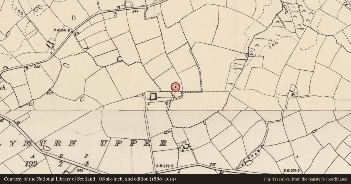 Ordnance Survey six-inch map, 2nd edition (1888–1915) covering the location of Ringfort - rath, Ballykelly, County Wexford, with a pin at the register's coordinates