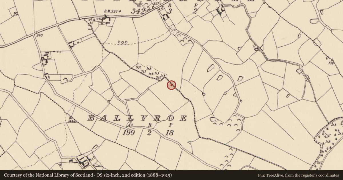 Ordnance Survey six-inch map, 2nd edition (1888–1915) covering the location of Water mill - horizontal-wheeled, Ballyroe, County Wexford, with a pin at the register's coordinates