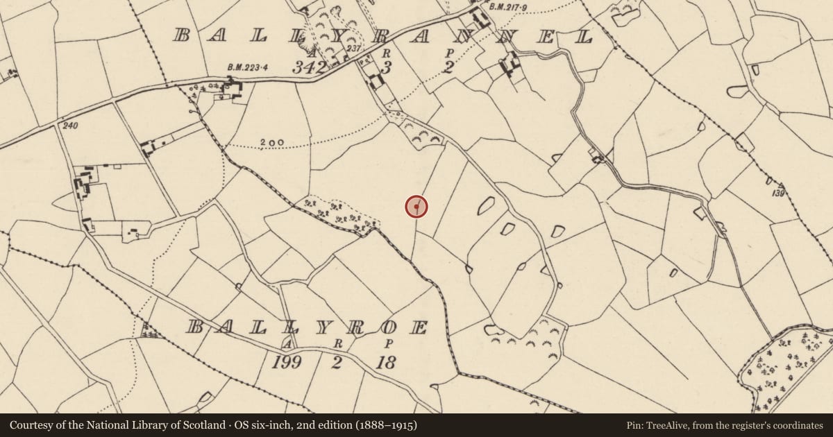 Ordnance Survey six-inch map, 2nd edition (1888–1915) covering the location of Fulacht fia, Ballyrannel, County Wexford, with a pin at the register's coordinates