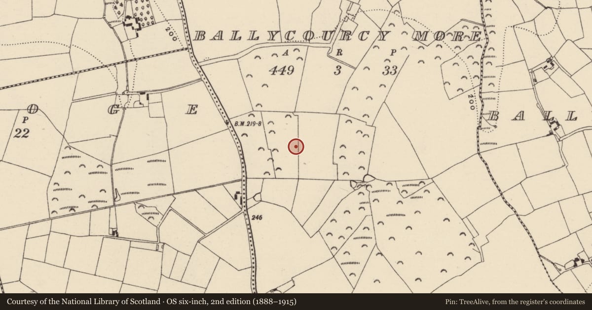 Ordnance Survey six-inch map, 2nd edition (1888–1915) covering the location of Ringfort - rath, Ballycourcy More, County Wexford, with a pin at the register's coordinates