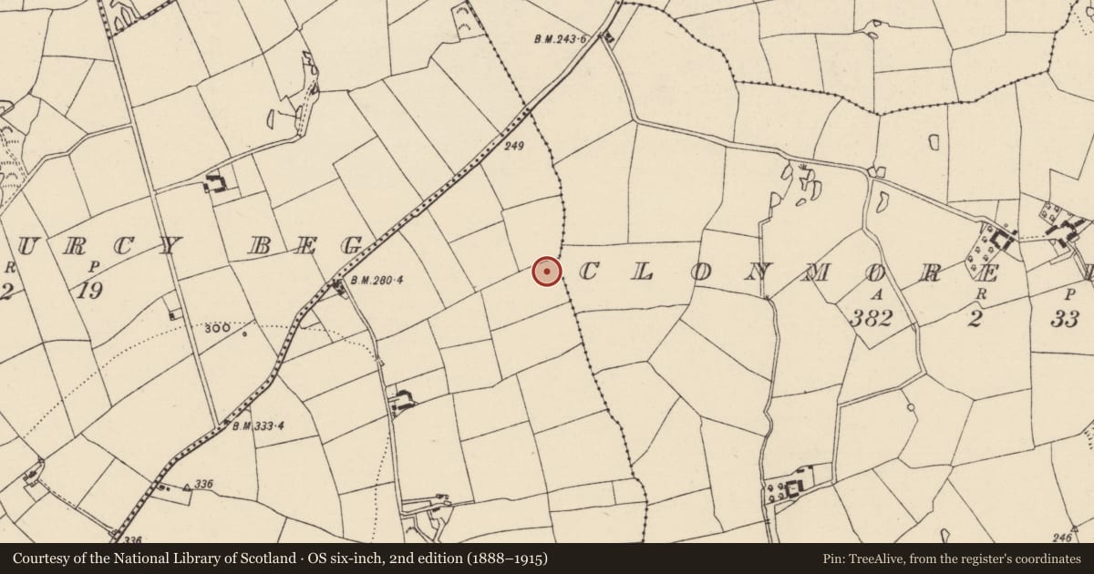 Ordnance Survey six-inch map, 2nd edition (1888–1915) covering the location of Ringfort - rath, Ballynastraw, County Wexford, with a pin at the register's coordinates