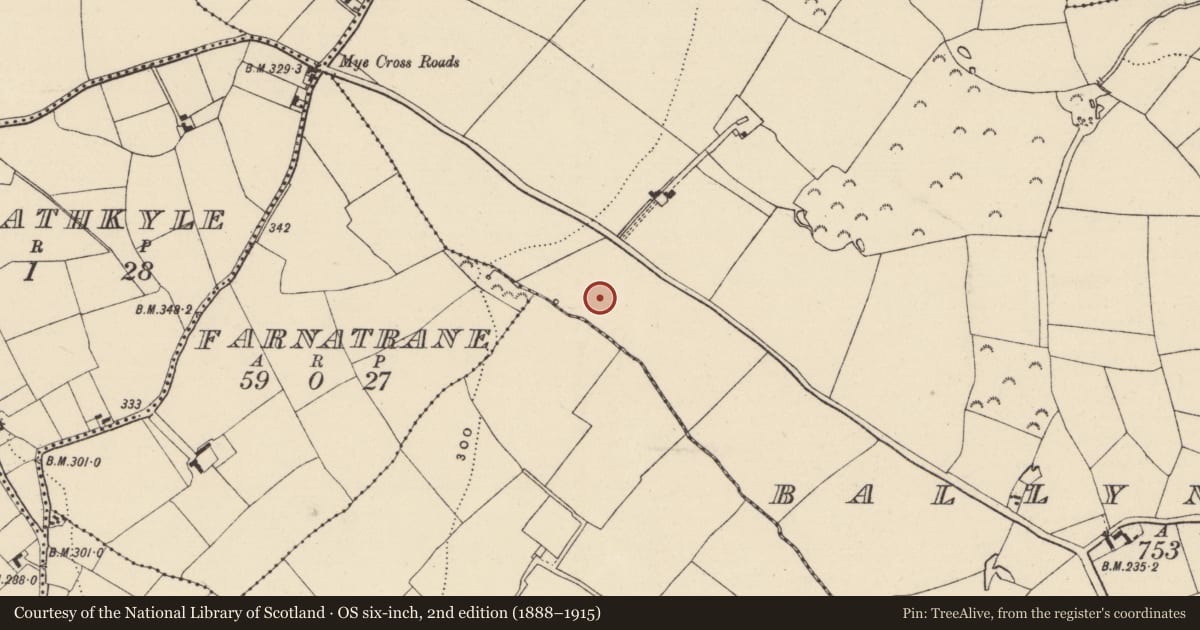 Ordnance Survey six-inch map, 2nd edition (1888–1915) covering the location of Ringfort - rath, Ballynastraw, County Wexford, with a pin at the register's coordinates