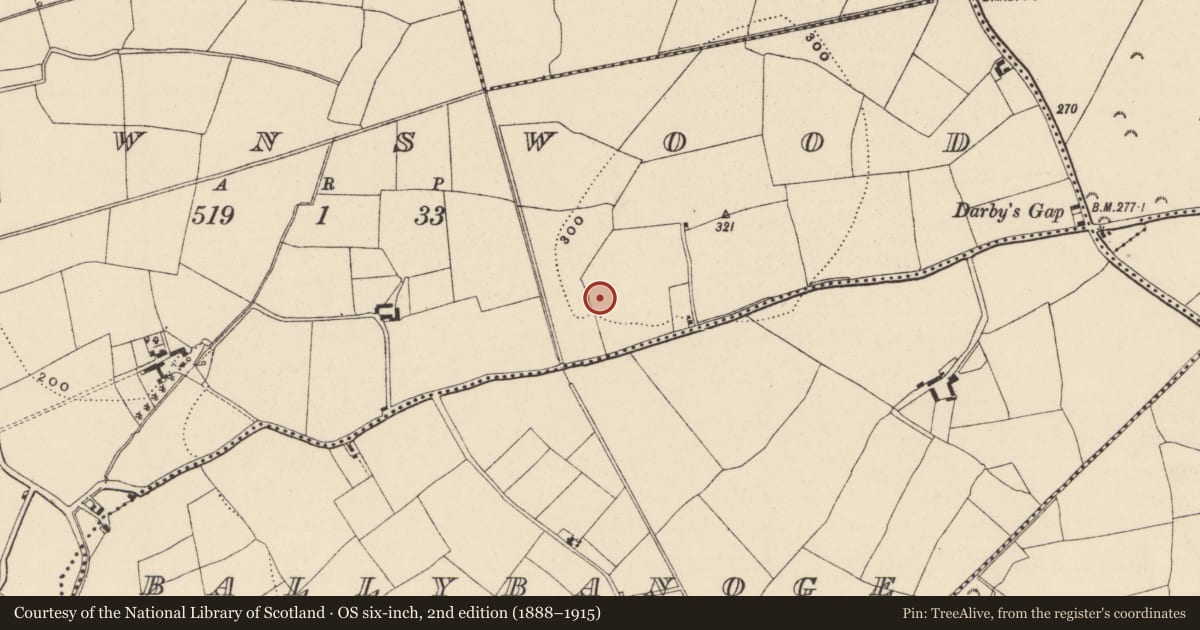 Ordnance Survey six-inch map, 2nd edition (1888–1915) covering the location of Ringfort - rath, Brownswood, County Wexford, with a pin at the register's coordinates