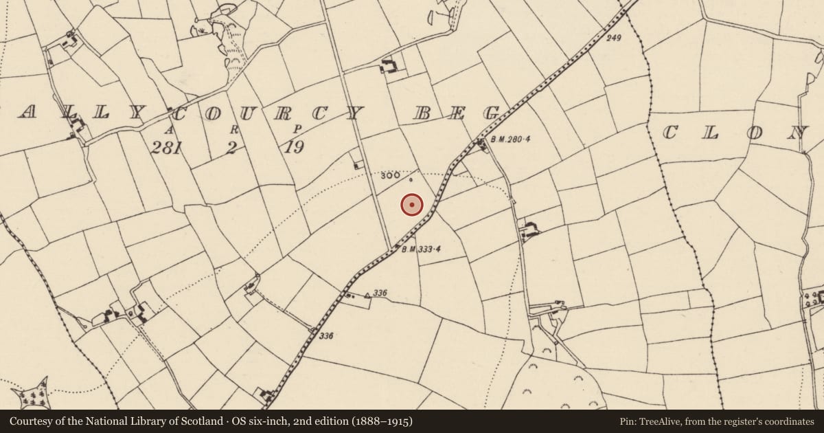 Ordnance Survey six-inch map, 2nd edition (1888–1915) covering the location of Ringfort - rath, Ballycourcy Beg, County Wexford, with a pin at the register's coordinates