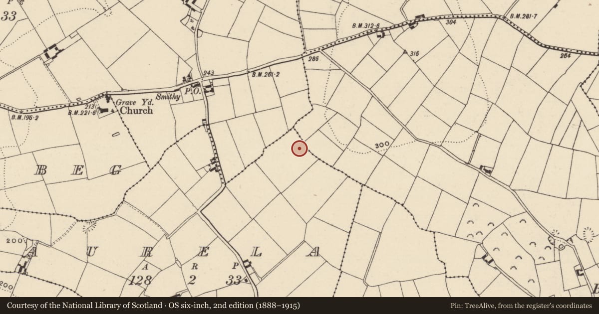 Ordnance Survey six-inch map, 2nd edition (1888–1915) covering the location of Ringfort - rath, Baurela, County Wexford, with a pin at the register's coordinates