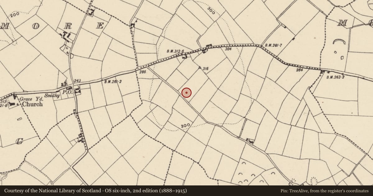 Ordnance Survey six-inch map, 2nd edition (1888–1915) covering the location of Ringfort - rath, Ballynamuddagh, County Wexford, with a pin at the register's coordinates