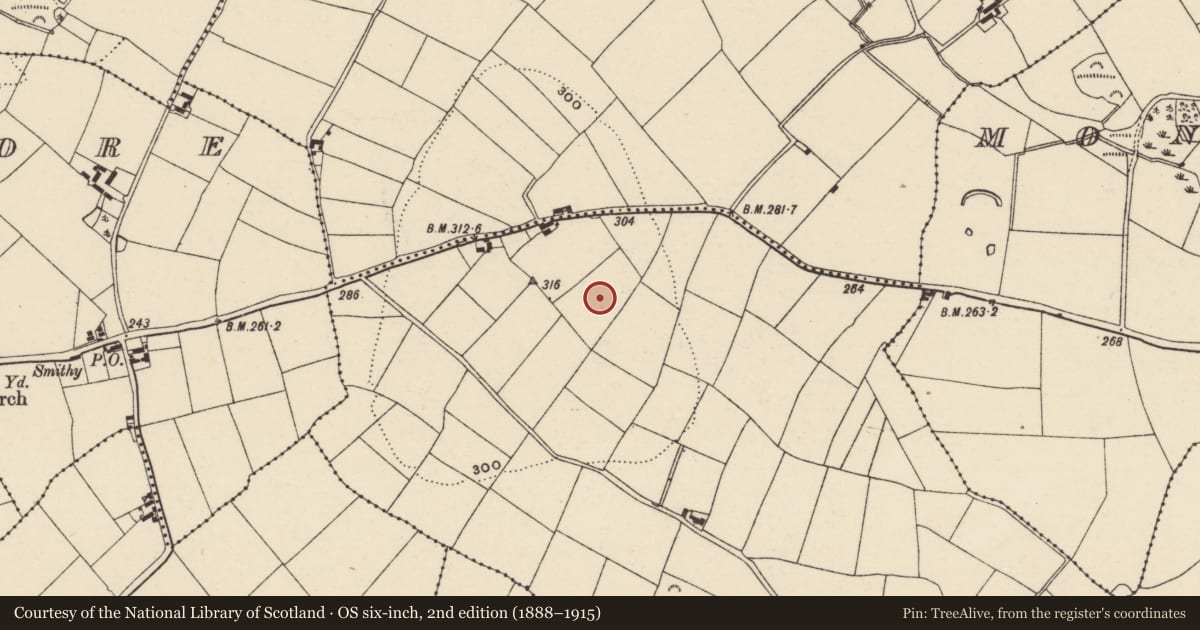 Ordnance Survey six-inch map, 2nd edition (1888–1915) covering the location of Enclosure, Ballynamuddagh, County Wexford, with a pin at the register's coordinates